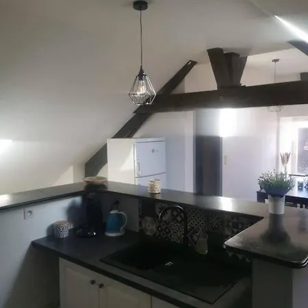 Le Petit Cloitre Apartment Langres